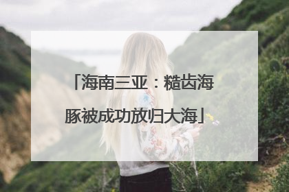 海南三亚：糙齿海豚被成功放归大海