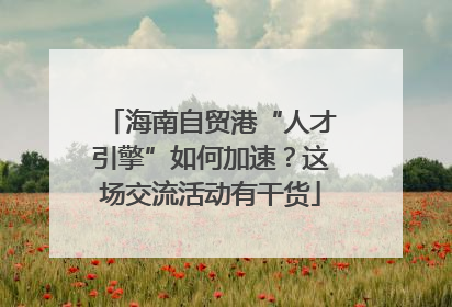 海南自贸港“人才引擎”如何加速？这场交流活动有干货