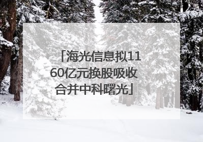 海光信息拟1160亿元换股吸收合并中科曙光
