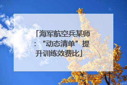 海军航空兵某师：“动态清单”提升训练效费比
