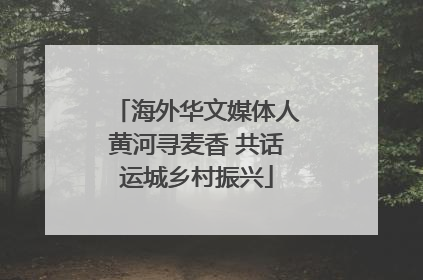 海外华文媒体人黄河寻麦香 共话运城乡村振兴