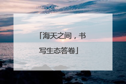 海天之间，书写生态答卷