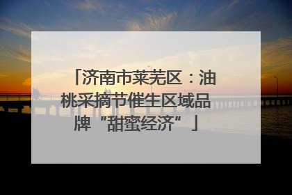 济南市莱芜区：油桃采摘节催生区域品牌“甜蜜经济”