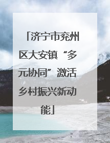 济宁市兖州区大安镇“多元协同”激活乡村振兴新动能