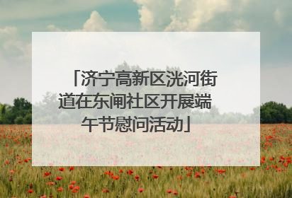 济宁高新区洸河街道在东闸社区开展端午节慰问活动