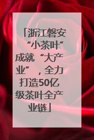 浙江磐安“小茶叶”成就“大产业”，全力打造50亿级茶叶全产业链