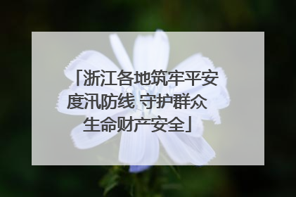 浙江各地筑牢平安度汛防线 守护群众生命财产安全