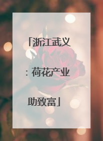 浙江武义：荷花产业助致富