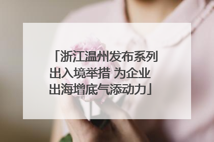 浙江温州发布系列出入境举措 为企业出海增底气添动力