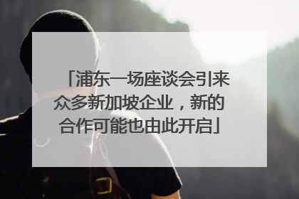 浦东一场座谈会引来众多新加坡企业，新的合作可能也由此开启