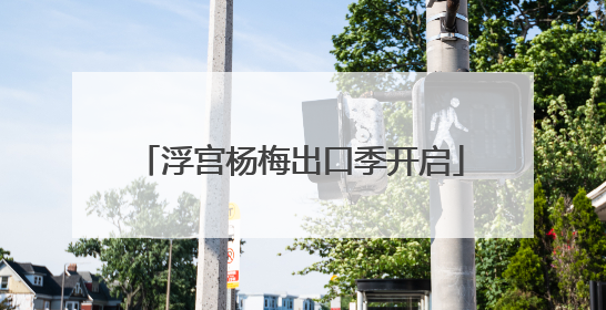 浮宫杨梅出口季开启