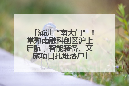 涌进“南大门”！常熟南融科创区沪上启航，智能装备、文旅项目扎堆落户