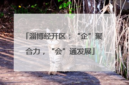 淄博经开区：“企”聚合力，“会”通发展