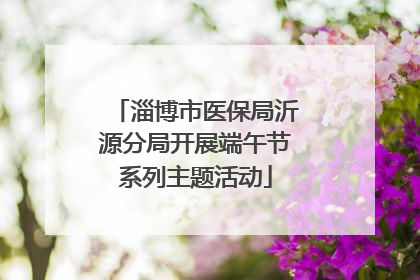 淄博市医保局沂源分局开展端午节系列主题活动