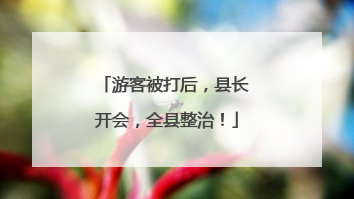游客被打后，县长开会，全县整治！