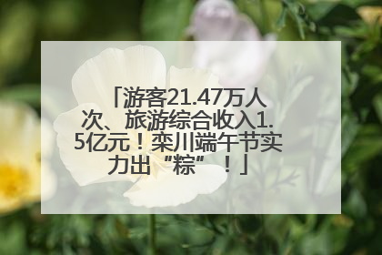 游客21.47万人次、旅游综合收入1.5亿元！栾川端午节实力出“粽”！
