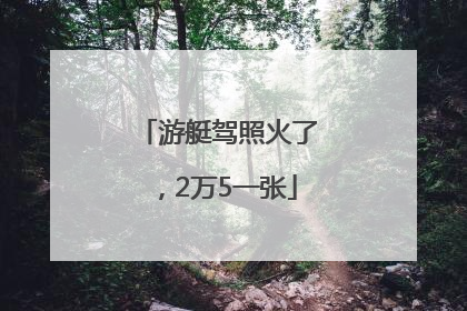 游艇驾照火了，2万5一张