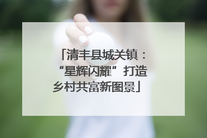 清丰县城关镇：“星辉闪耀”打造乡村共富新图景
