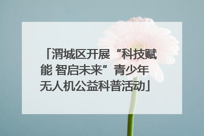 渭城区开展“科技赋能 智启未来”青少年无人机公益科普活动