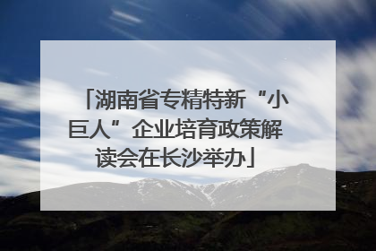 湖南省专精特新“小巨人”企业培育政策解读会在长沙举办