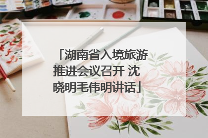 湖南省入境旅游推进会议召开 沈晓明毛伟明讲话