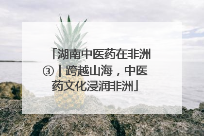 湖南中医药在非洲③｜跨越山海，中医药文化浸润非洲