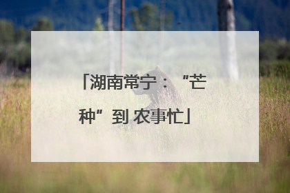 湖南常宁：“芒种”到 农事忙