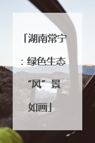 湖南常宁：绿色生态 “风”景如画