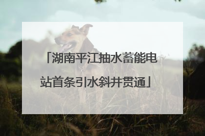 湖南平江抽水蓄能电站首条引水斜井贯通