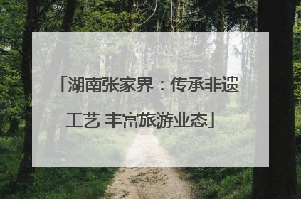 湖南张家界：传承非遗工艺 丰富旅游业态