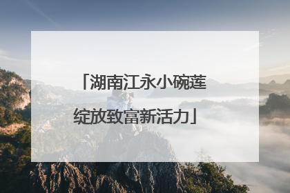 湖南江永小碗莲绽放致富新活力