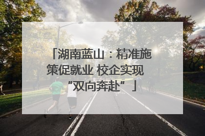 湖南蓝山：精准施策促就业 校企实现“双向奔赴”