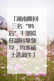 湖南隆回三名“95后”干部拟任副科级领导，均系硕士选调生