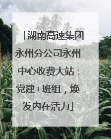 湖南高速集团永州分公司永州中心收费大站：党建+班组，焕发内在活力