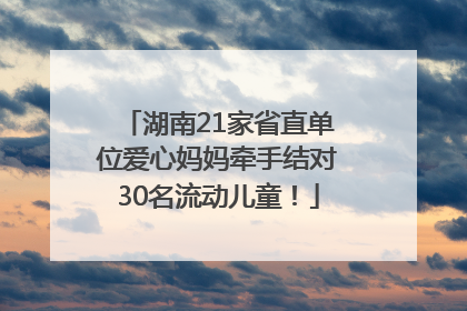 湖南21家省直单位爱心妈妈牵手结对30名流动儿童！