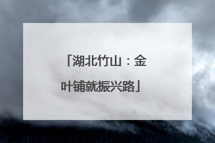 湖北竹山：金叶铺就振兴路