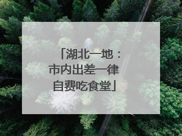 湖北一地：市内出差一律自费吃食堂