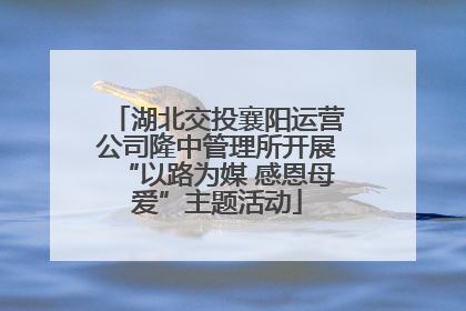 湖北交投襄阳运营公司隆中管理所开展“以路为媒 感恩母爱”主题活动