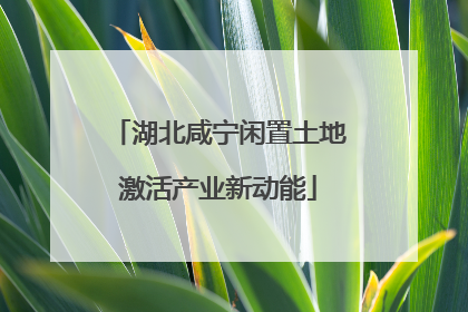 湖北咸宁闲置土地激活产业新动能