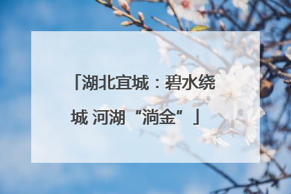 湖北宜城：碧水绕城 河湖“淌金”
