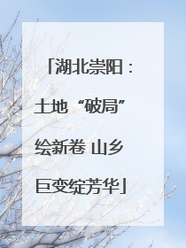 湖北崇阳：土地“破局”绘新卷 山乡巨变绽芳华