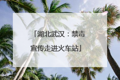 湖北武汉：禁毒宣传走进火车站