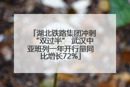 湖北铁路集团冲刺“双过半” 武汉中亚班列一年开行量同比增长72%