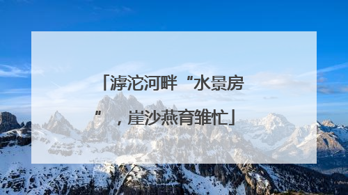 滹沱河畔“水景房”，崖沙燕育雏忙
