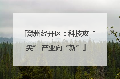 滁州经开区：科技攻“尖” 产业向“新”