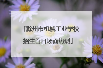 滁州市机械工业学校招生首日场面热烈