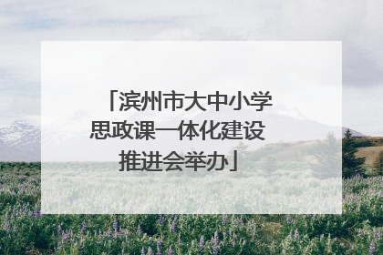 滨州市大中小学思政课一体化建设推进会举办