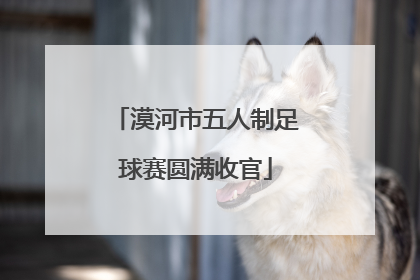 漠河市五人制足球赛圆满收官