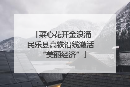 菜心花开金浪涌 民乐县高铁沿线激活“美丽经济”