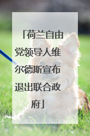 荷兰自由党领导人维尔德斯宣布退出联合政府